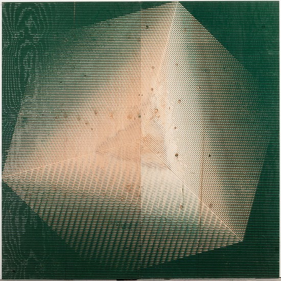 Michael Delucia, To be titled
2012, Safety enamel on plywood
