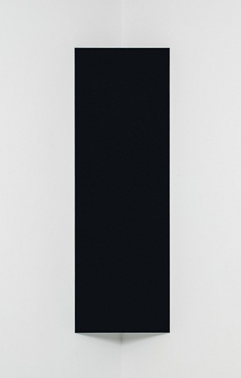 Liz Deschenes, Shift/Rise #33
2012, Chromogenic photogram mounted on Dibond