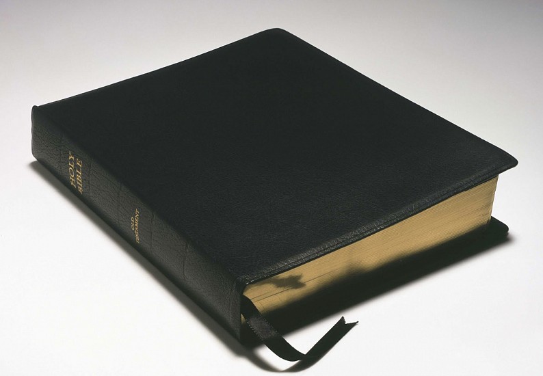 David Hammons, The Holy Bible: Old Testament
2002, paper and Leather