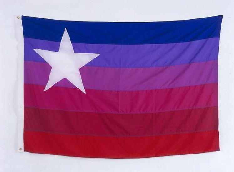 Jonathan Horowitz, New American Flag Made in China
2005, Nylon