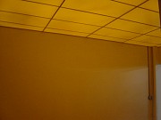 DSC00982