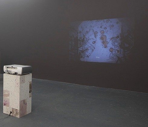 Dashiell Manley, ARC Alphabets
2011-2012, JPEG files transferred to digital video
