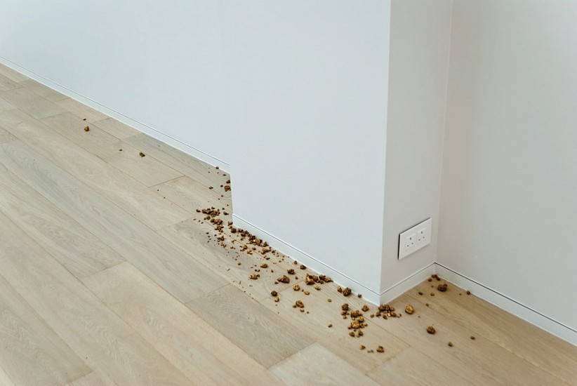 Andre Komatsu, Substrato economico 2
2013, Gold painted concrete stones
