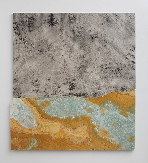 Sam Moyer, Untitled
2014, Stone, ink on canvas, mounted to MDF panel