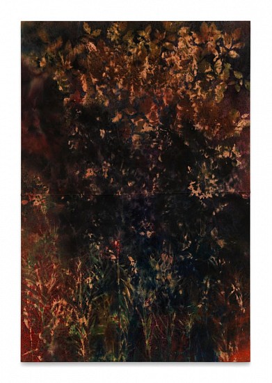 Sam Falls, Untitled (Bovina, N.Y., field to forest 1)
Pigment on canvas