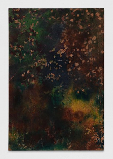 Sam Falls, Untitled (Bovina, N.Y., field to forest 6)
Pigment on canvas